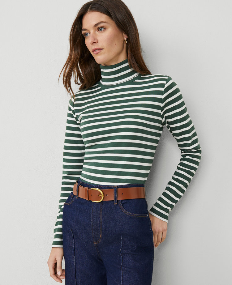 Petite Weekend Collection Striped Turtleneck Top