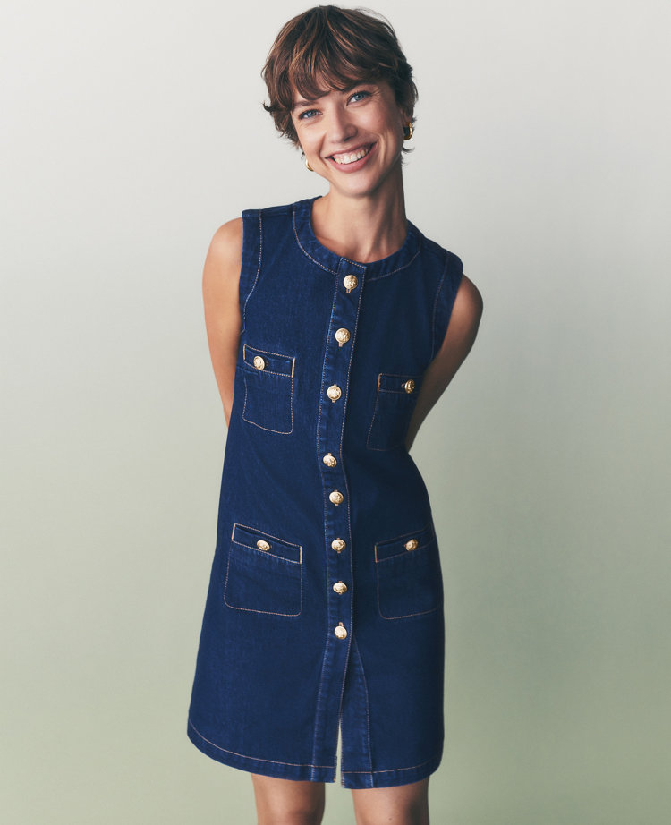 Petite Denim Sheath Dress