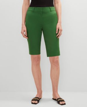 The Boardwalk Short – Curvy Fit