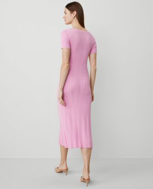 Petite Scoop Neck Sweater Dress