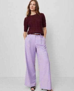 The Petite Modern Wide-Leg Trouser