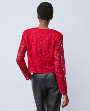 Lace Crew Neck Blouse