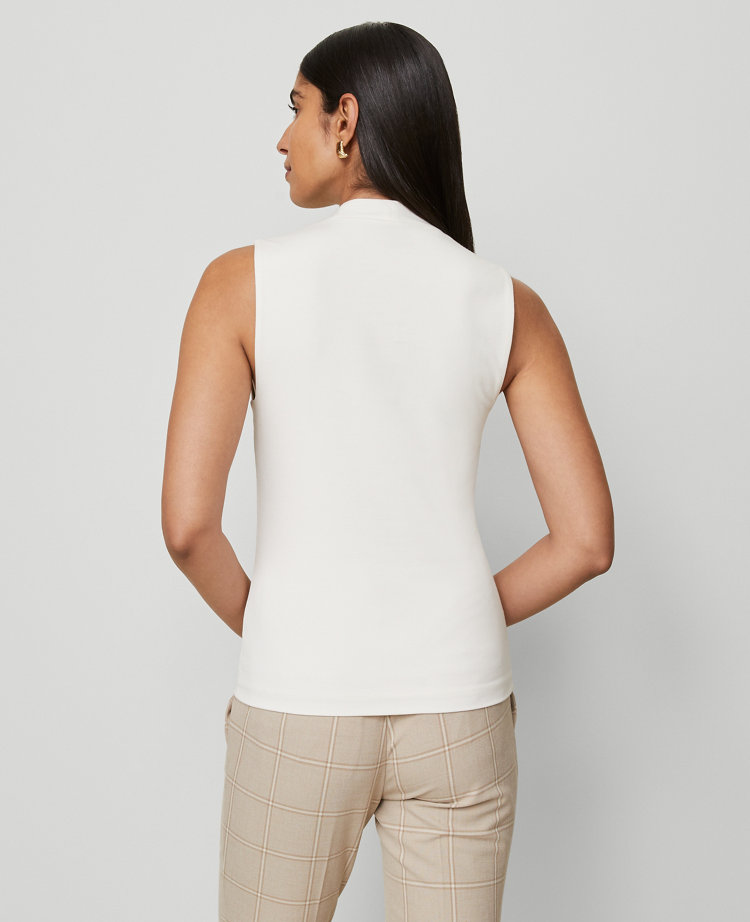 Petite Sleeveless V-Neck Top