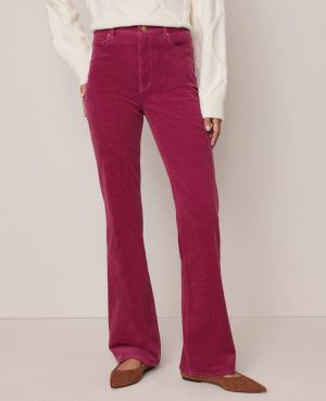 Petite Weekend Collection Boot Corduroy Pant