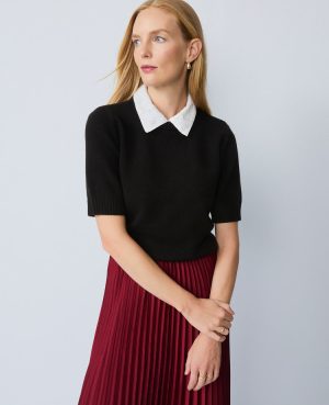 Petite Lace Collar Sweater Tee