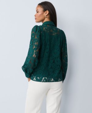 Lace Blouse