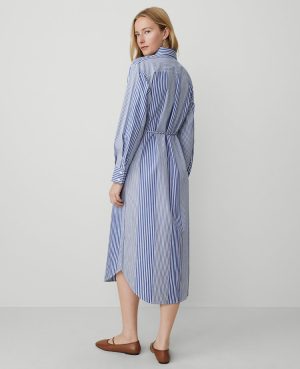 Petite Weekend Collection Striped Midi Shirtdress
