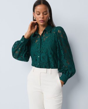 Petite Lace Blouse